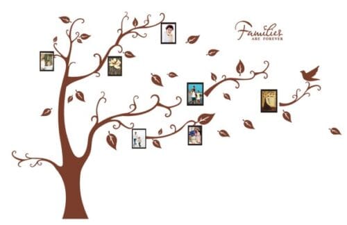 670fd6014e79d201873bf767a0622cb3